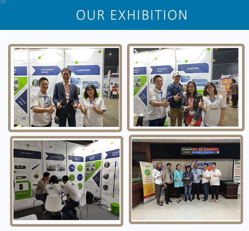 exhibitions